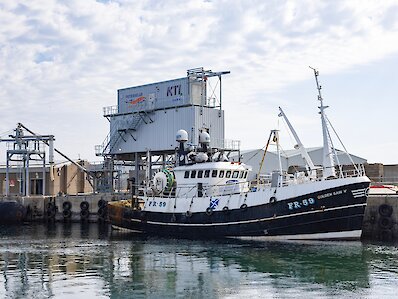 Peterhead Ice